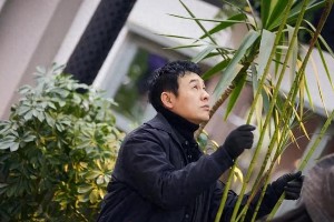 张颂文《灿烂的花园》热播 广东娱乐圈现状引热议
