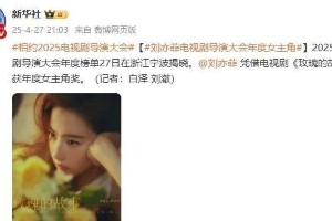 李现刘亦菲分获2025电视剧导演大会年度男女主角奖