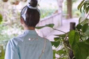 《亲爱的隐居先生》：田园甜宠剧黑马，汤敏陈靖可演技获赞