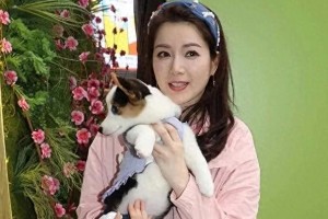 苟芸慧宣布离婚复出，TVB女神重拾事业