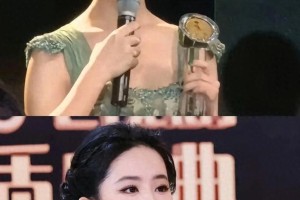 刘亦菲38岁再获年度女主角奖，玫瑰的故事演技获赞