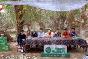 张艺凡《极限挑战》连摔三次，长凳狼人杀笑翻全场