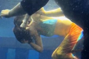 太原海洋大世界美人鱼演员溺水真相曝光