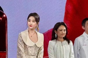 刘亦菲38岁生图惊艳 新中式造型诠释中国美