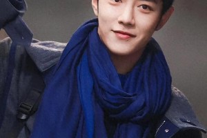 精选图片集锦：视觉盛宴一览